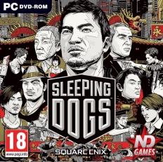 Sleeping Dogs 